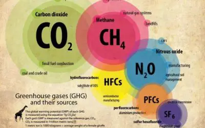 Greenhouse gas emissions to be reported